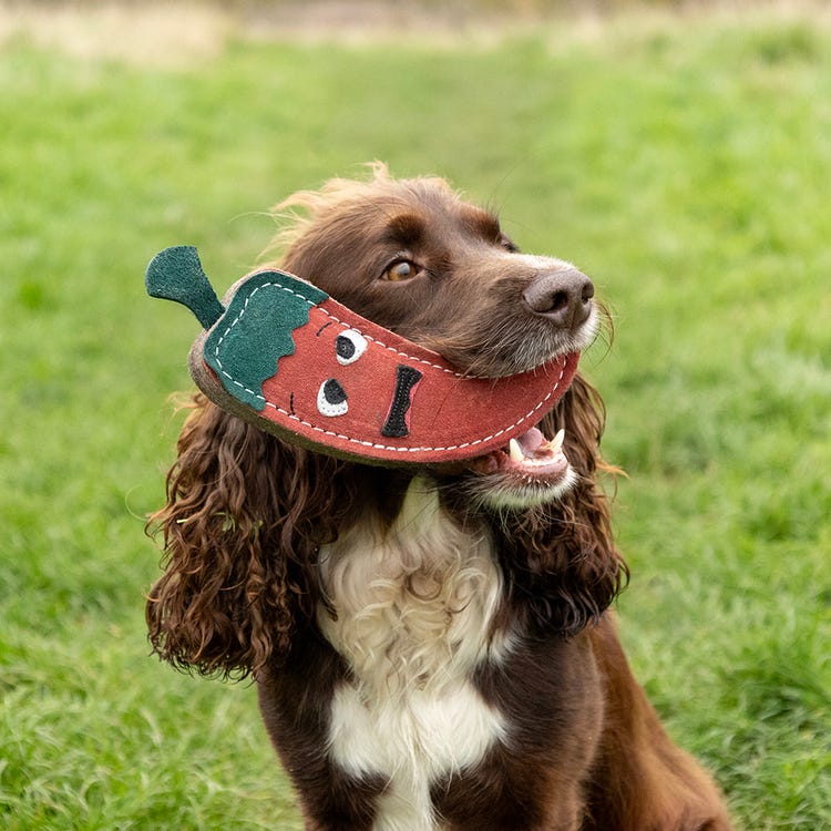 Benji &amp; Flo Crazy Faces Dog Toys - Jalapeno The Red Hot Chilli  image 1